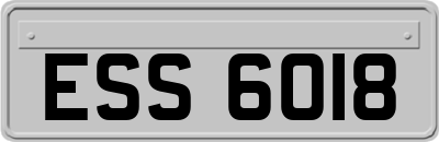 ESS6018