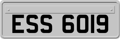 ESS6019