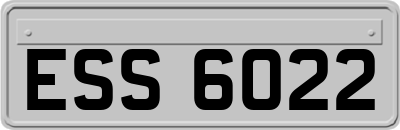 ESS6022