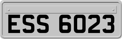 ESS6023