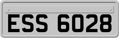 ESS6028