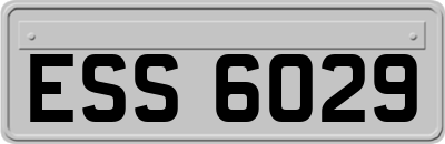 ESS6029