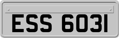 ESS6031