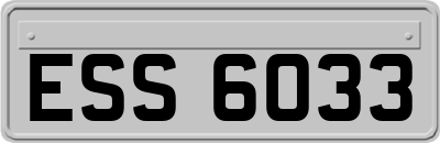 ESS6033