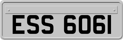 ESS6061