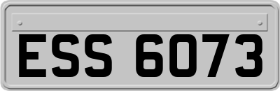 ESS6073