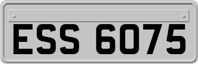 ESS6075