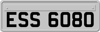 ESS6080