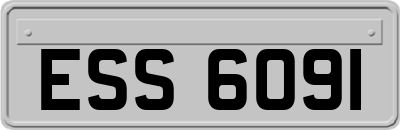 ESS6091