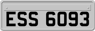 ESS6093