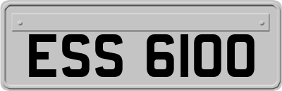 ESS6100