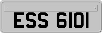 ESS6101