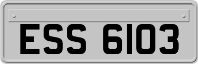 ESS6103