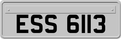 ESS6113