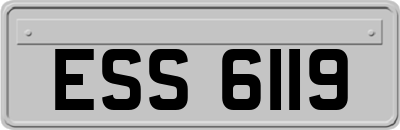 ESS6119