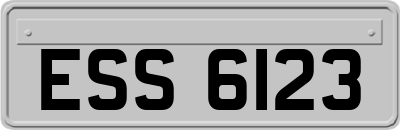 ESS6123