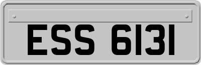 ESS6131