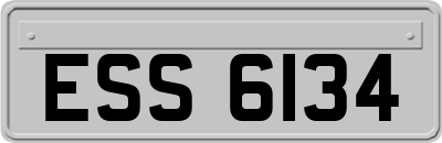 ESS6134