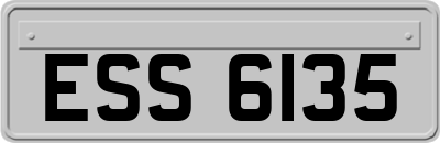 ESS6135