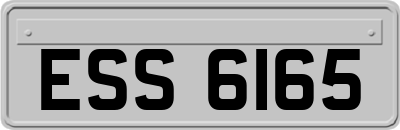 ESS6165