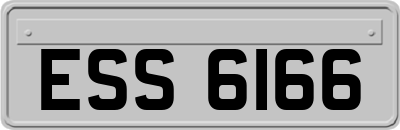 ESS6166