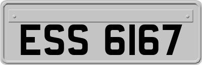 ESS6167