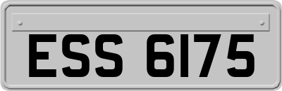 ESS6175