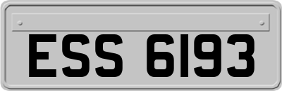 ESS6193