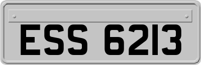ESS6213