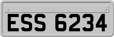 ESS6234