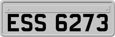 ESS6273