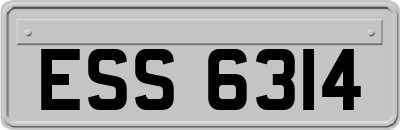 ESS6314