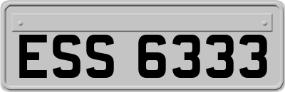 ESS6333