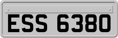 ESS6380