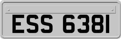 ESS6381