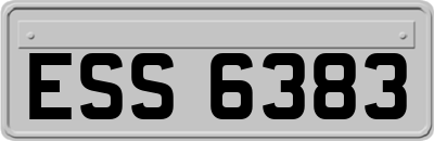 ESS6383