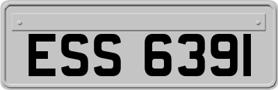 ESS6391