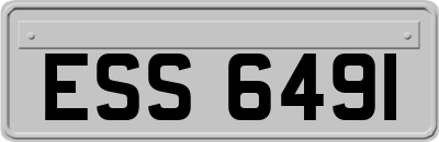 ESS6491