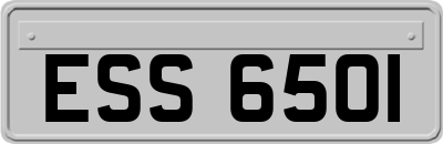 ESS6501
