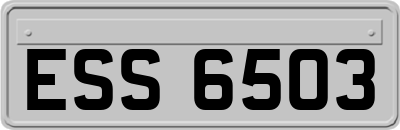 ESS6503