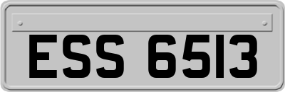 ESS6513