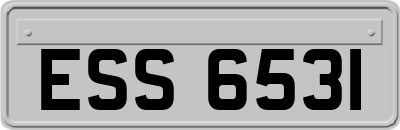 ESS6531