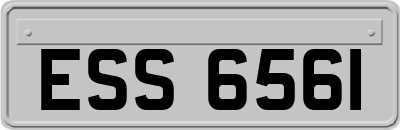 ESS6561