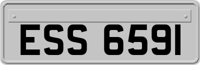 ESS6591