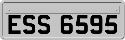 ESS6595