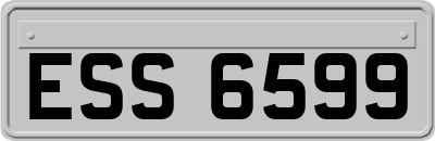 ESS6599