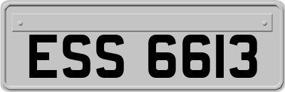 ESS6613