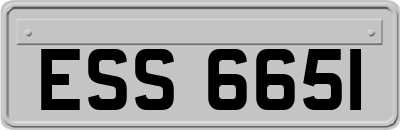 ESS6651