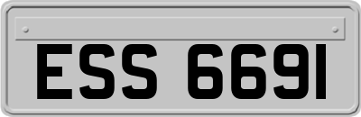 ESS6691