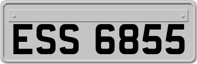 ESS6855